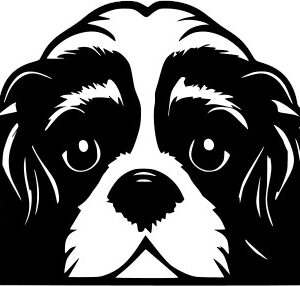 Breed Decal - Peeking Cavalier King Charles Spaniel