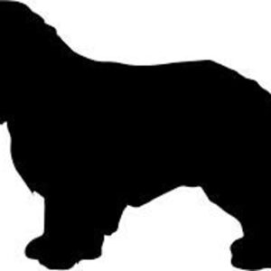 Breed Decal - Silhouette Cavalier King Charles Spaniel