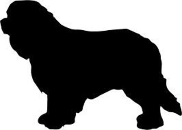 Breed Decal - Silhouette Cavalier King Charles Spaniel