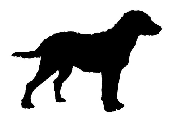 Breed Decal - Silhouette Chesapeake Bay Retriever