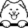 Breed Decal - Peeking Chow
