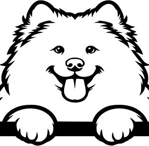Breed Decal - Peeking Chow