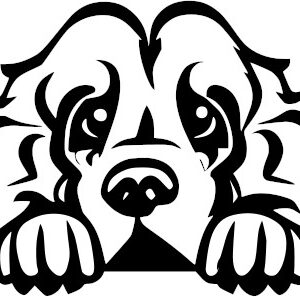 Breed Decal - Peeking Cocker Spaniel