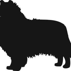 Breed Decal - Silhouette Collie