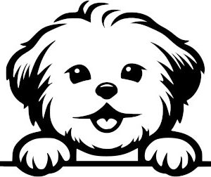 Breed Decal - Peeking Coton de Tulear