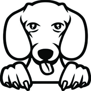 Breed Decal - Peeking Dachshund
