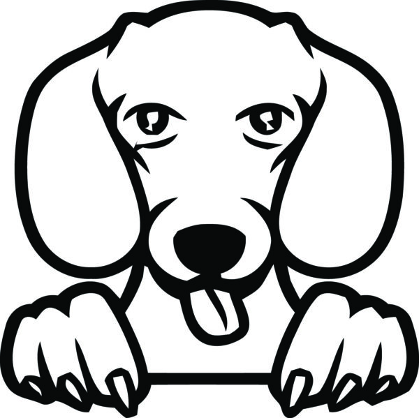 Breed Decal - Peeking Dachshund