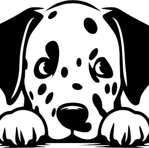Breed Decal - Peeking Dalamation