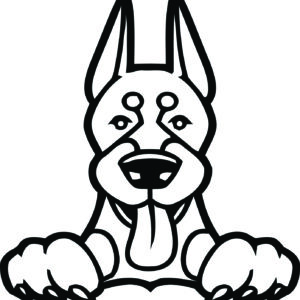 Breed Decal - Peeking Doberman