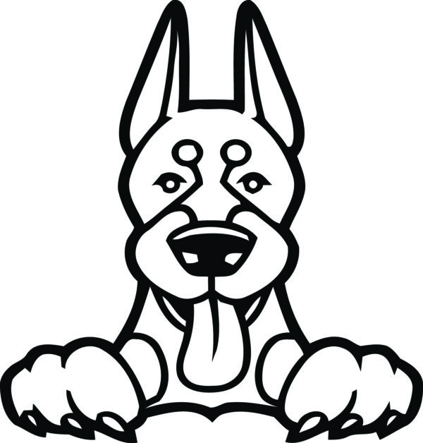 Breed Decal - Peeking Doberman