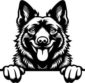 Breed Decal - Peeking Dutch Shepherd