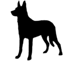 Breed Decal - Silhouette Dutch Shepherd