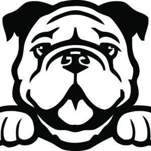 Breed Decal - Peeking English Bulldog