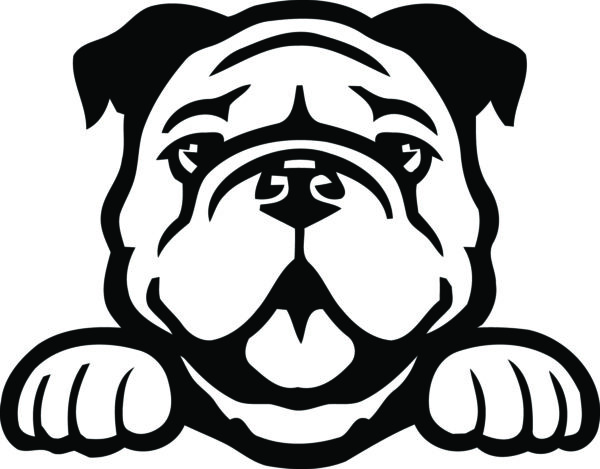 Breed Decal - Peeking English Bulldog