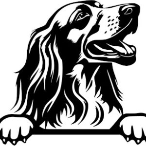 Breed Decal - Peeking English Setter