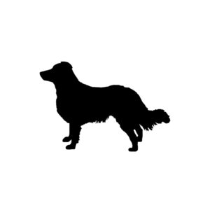 Breed Decal - Silhouette English Shepherd