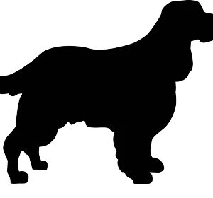 Breed Decal - Silhouette English Springer Spaniel