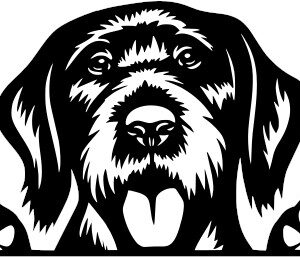 Breed Decal - Peeking German Pointer