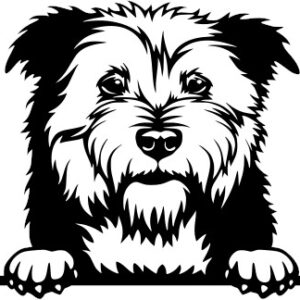 Breed Decal - Peeking Glen of Imaal Terrier