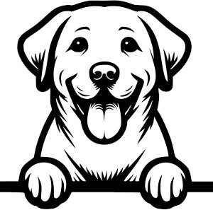 Breed Decal - Peeking Golden Retriever
