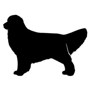 Breed Decal - Silhouette Golden Retriever