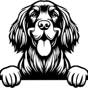 Breed Decal - Peeking Gordon Setter