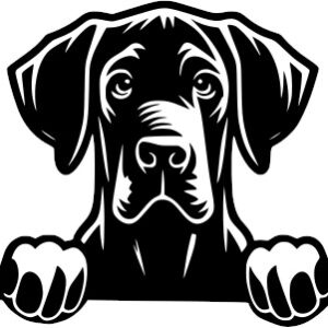 Breed Decal - Peeking Great Dane