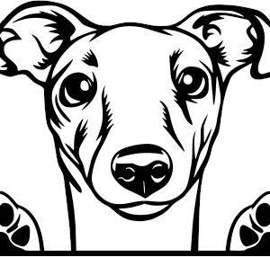 Breed Decal - Peeking Greyhound
