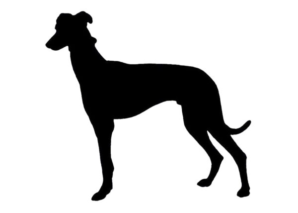 Breed Decal - Silhouette Greyhound