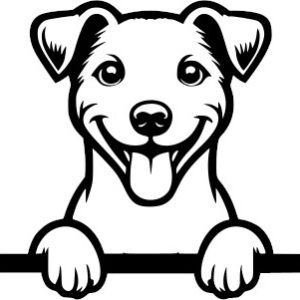 Breed Decal - Peeking Jack Russell Terrier