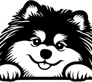 Breed Decal - Peeking Keeshond