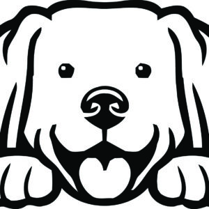 Breed Decal - Peeking Labrador Retriever