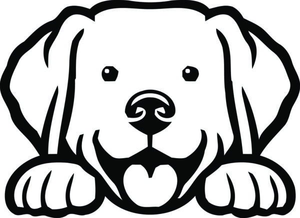 Breed Decal - Peeking Labrador Retriever
