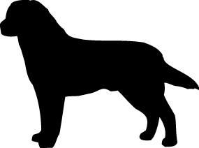 Breed Decal - Silhouette Labrador Retriever
