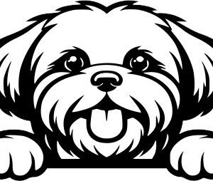 Breed Decal - Peeking Lhasa Apso