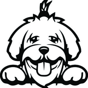 Breed Decal - Peeking Maltese
