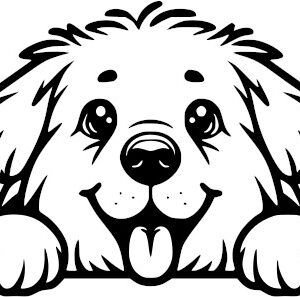 Breed Decal - Peeking New Foundland
