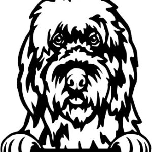 Breed Decal - Peeking Old English Sheepdog