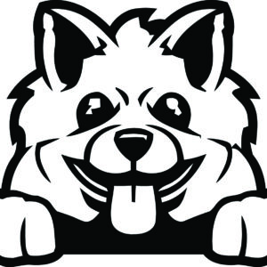 Breed Decal - Peeking Pomeranian