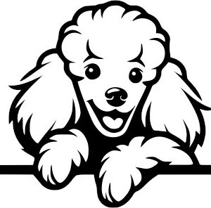 Breed Decal - Peeking Poodle