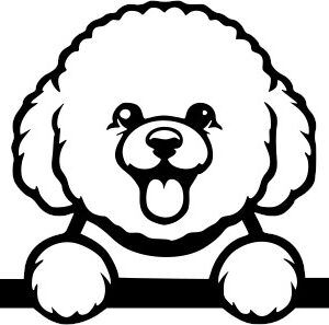 Breed Decal - Peeking Toy Poodle