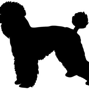 Breed Decal - Silhouette Toy Poodle