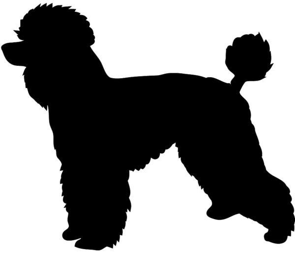 Breed Decal - Silhouette Toy Poodle