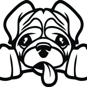 Breed Decal - Peeking Pug