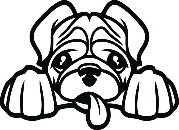 Breed Decal - Peeking Pug