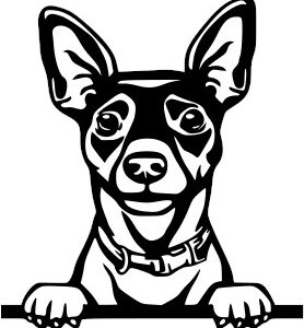 Breed Decal - Rat Terrier