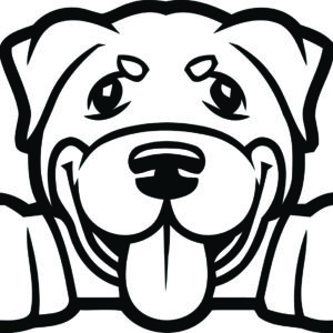 Breed Decal - Peeking Rottweiler