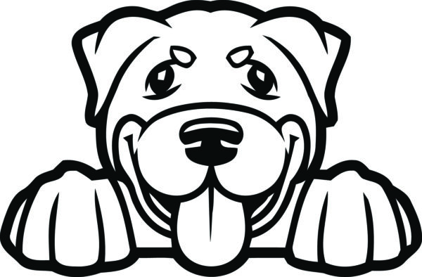 Breed Decal - Peeking Rottweiler