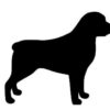 Breed Decal - Silhouette Rottweiler
