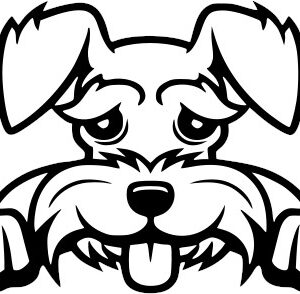 Breed Decal - Peeking Schnauzer